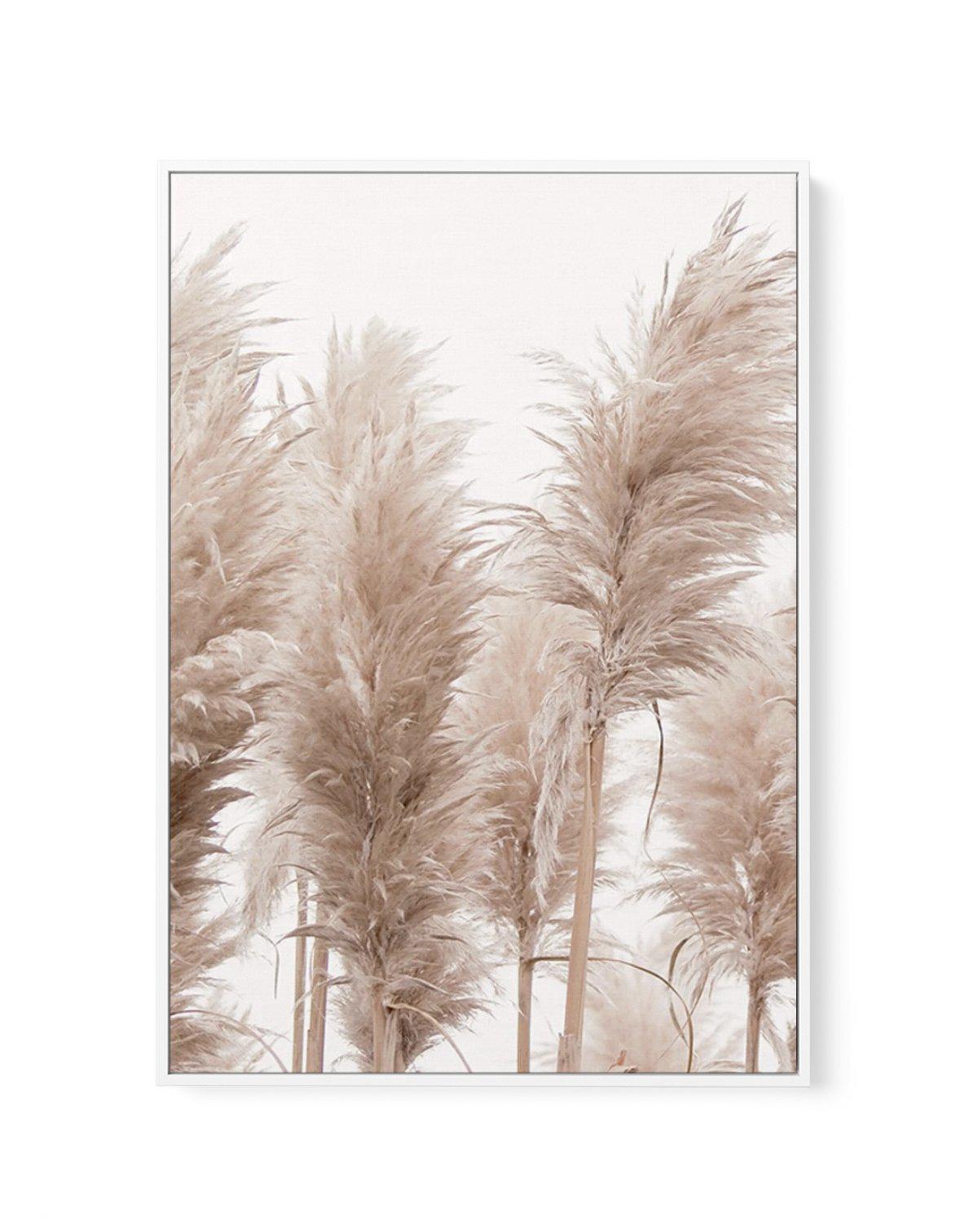 Golden Pampas I | Framed Canvas-CANVAS-You can shop wall art online with Olive et Oriel for everything from abstract art to fun kids wall art. Our beautiful modern art prints and canvas art are available from large canvas prints to wall art paintings and our proudly Australian artwork collection offers only the highest quality framed large wall art and canvas art Australia - You can buy fashion photography prints or Hampton print posters and paintings on canvas from Olive et Oriel and have them 