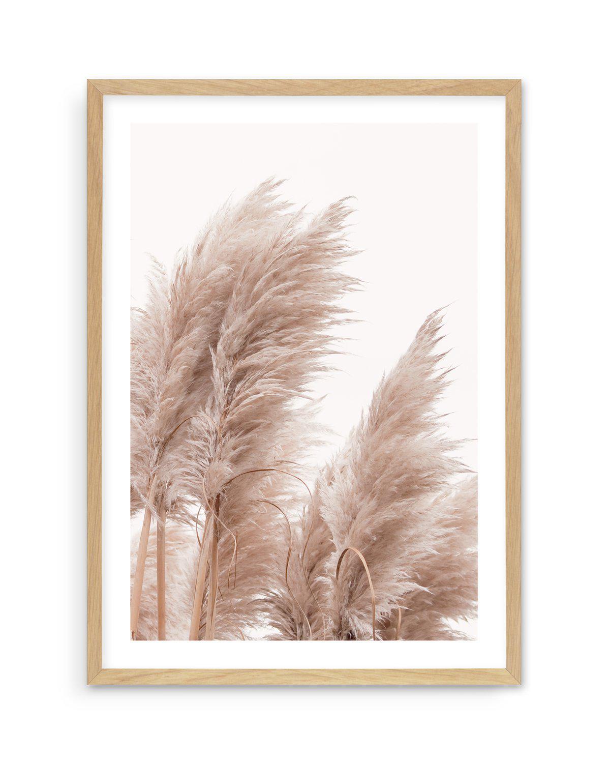 Golden Pampas II Art Print-PRINT-Olive et Oriel-Olive et Oriel-A5 | 5.8" x 8.3" | 14.8 x 21cm-Oak-With White Border-Buy-Australian-Art-Prints-Online-with-Olive-et-Oriel-Your-Artwork-Specialists-Austrailia-Decorate-With-Coastal-Photo-Wall-Art-Prints-From-Our-Beach-House-Artwork-Collection-Fine-Poster-and-Framed-Artwork