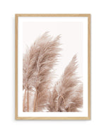 Golden Pampas II Art Print-PRINT-Olive et Oriel-Olive et Oriel-A5 | 5.8" x 8.3" | 14.8 x 21cm-Oak-With White Border-Buy-Australian-Art-Prints-Online-with-Olive-et-Oriel-Your-Artwork-Specialists-Austrailia-Decorate-With-Coastal-Photo-Wall-Art-Prints-From-Our-Beach-House-Artwork-Collection-Fine-Poster-and-Framed-Artwork