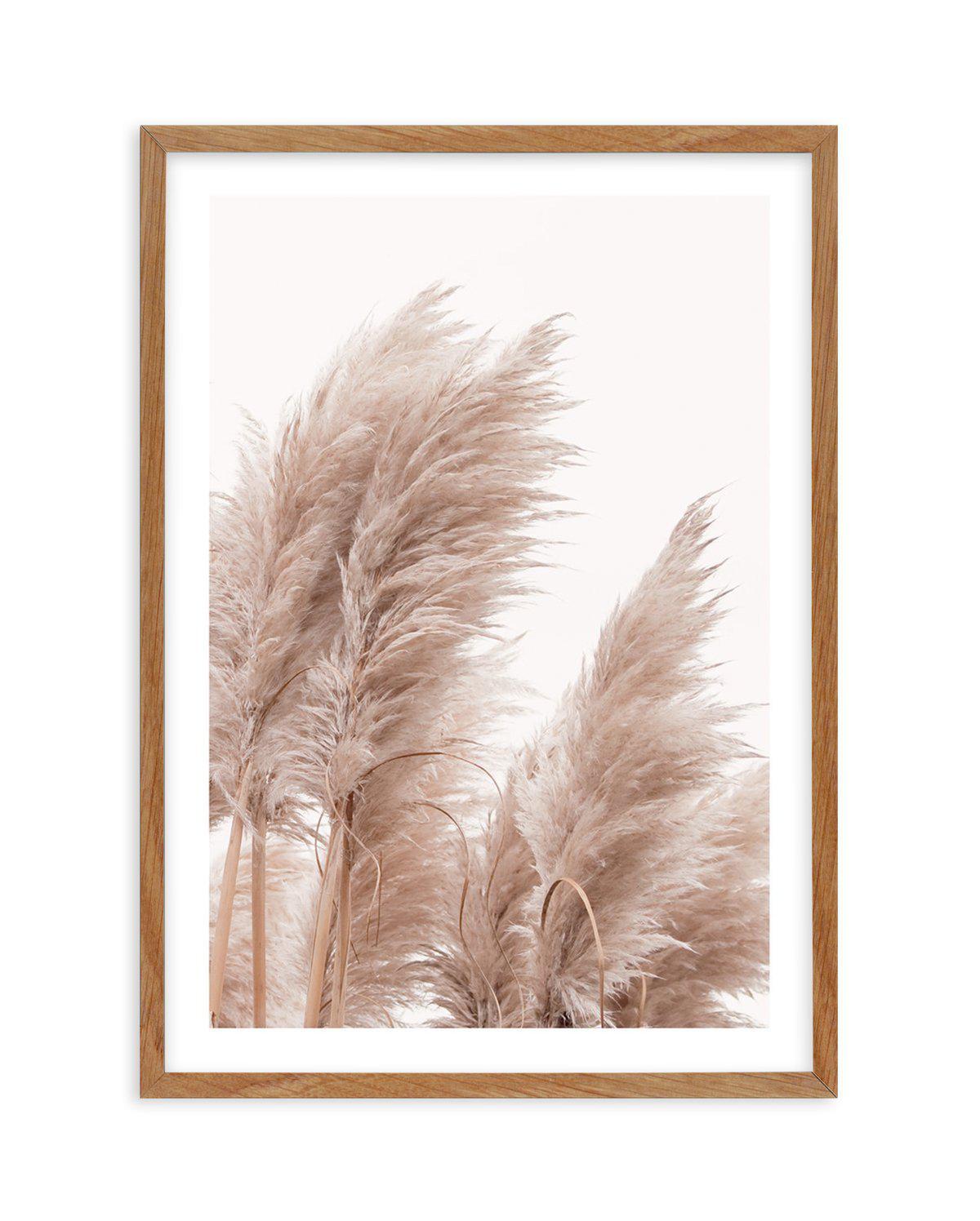 Golden Pampas II Art Print-PRINT-Olive et Oriel-Olive et Oriel-Buy-Australian-Art-Prints-Online-with-Olive-et-Oriel-Your-Artwork-Specialists-Austrailia-Decorate-With-Coastal-Photo-Wall-Art-Prints-From-Our-Beach-House-Artwork-Collection-Fine-Poster-and-Framed-Artwork