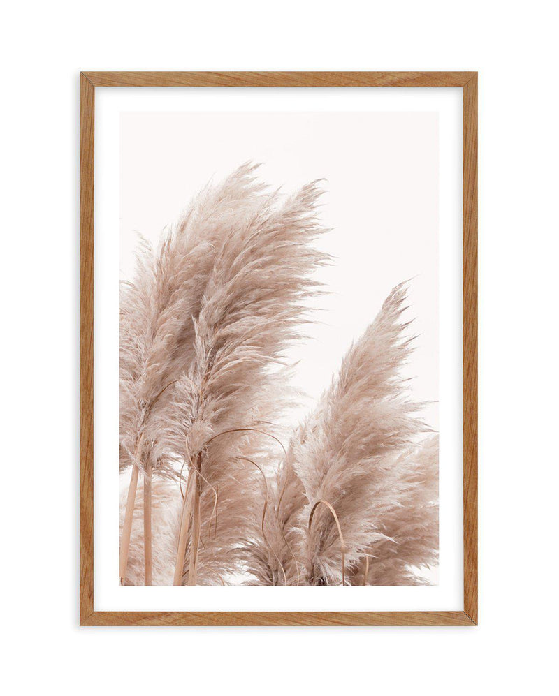 Golden Pampas II Art Print-PRINT-Olive et Oriel-Olive et Oriel-Buy-Australian-Art-Prints-Online-with-Olive-et-Oriel-Your-Artwork-Specialists-Austrailia-Decorate-With-Coastal-Photo-Wall-Art-Prints-From-Our-Beach-House-Artwork-Collection-Fine-Poster-and-Framed-Artwork