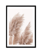 Golden Pampas II Art Print-PRINT-Olive et Oriel-Olive et Oriel-A5 | 5.8" x 8.3" | 14.8 x 21cm-Black-With White Border-Buy-Australian-Art-Prints-Online-with-Olive-et-Oriel-Your-Artwork-Specialists-Austrailia-Decorate-With-Coastal-Photo-Wall-Art-Prints-From-Our-Beach-House-Artwork-Collection-Fine-Poster-and-Framed-Artwork