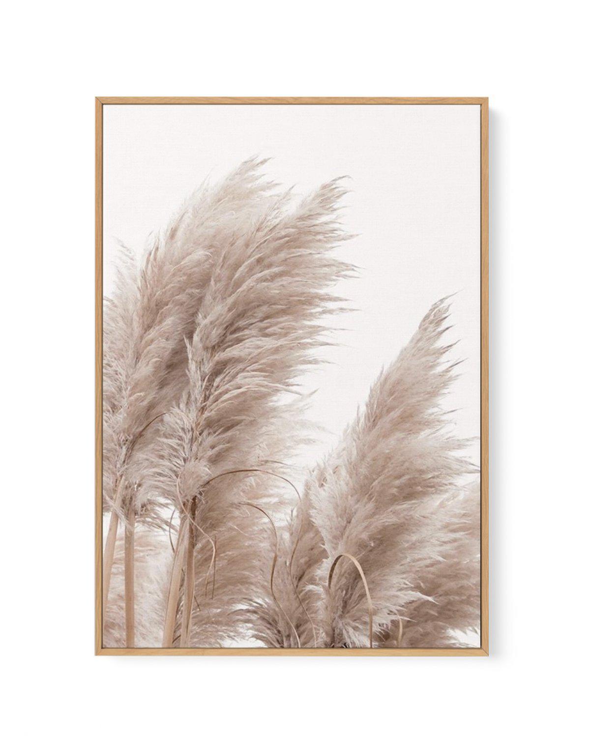 Golden Pampas II | Framed Canvas-CANVAS-You can shop wall art online with Olive et Oriel for everything from abstract art to fun kids wall art. Our beautiful modern art prints and canvas art are available from large canvas prints to wall art paintings and our proudly Australian artwork collection offers only the highest quality framed large wall art and canvas art Australia - You can buy fashion photography prints or Hampton print posters and paintings on canvas from Olive et Oriel and have them