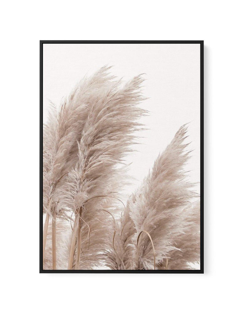 Golden Pampas II | Framed Canvas-CANVAS-You can shop wall art online with Olive et Oriel for everything from abstract art to fun kids wall art. Our beautiful modern art prints and canvas art are available from large canvas prints to wall art paintings and our proudly Australian artwork collection offers only the highest quality framed large wall art and canvas art Australia - You can buy fashion photography prints or Hampton print posters and paintings on canvas from Olive et Oriel and have them