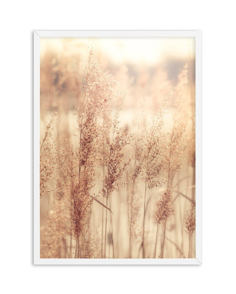 Golden Seagrass Art Print-PRINT-Olive et Oriel-Olive et Oriel-A4 | 8.3" x 11.7" | 21 x 29.7cm-White-With White Border-Buy-Australian-Art-Prints-Online-with-Olive-et-Oriel-Your-Artwork-Specialists-Austrailia-Decorate-With-Coastal-Photo-Wall-Art-Prints-From-Our-Beach-House-Artwork-Collection-Fine-Poster-and-Framed-Artwork