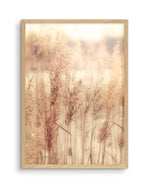 Golden Seagrass Art Print-PRINT-Olive et Oriel-Olive et Oriel-A4 | 8.3" x 11.7" | 21 x 29.7cm-Oak-With White Border-Buy-Australian-Art-Prints-Online-with-Olive-et-Oriel-Your-Artwork-Specialists-Austrailia-Decorate-With-Coastal-Photo-Wall-Art-Prints-From-Our-Beach-House-Artwork-Collection-Fine-Poster-and-Framed-Artwork