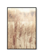 Golden Seagrass | Framed Canvas-CANVAS-You can shop wall art online with Olive et Oriel for everything from abstract art to fun kids wall art. Our beautiful modern art prints and canvas art are available from large canvas prints to wall art paintings and our proudly Australian artwork collection offers only the highest quality framed large wall art and canvas art Australia - You can buy fashion photography prints or Hampton print posters and paintings on canvas from Olive et Oriel and have them 