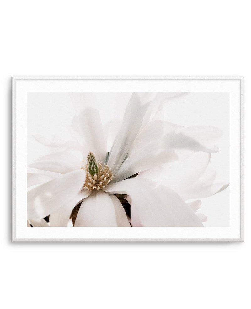 Grace Magnolia Art Print-PRINT-Olive et Oriel-Olive et Oriel-A5 | 5.8" x 8.3" | 14.8 x 21cm-Unframed Art Print-With White Border-Buy-Australian-Art-Prints-Online-with-Olive-et-Oriel-Your-Artwork-Specialists-Austrailia-Decorate-With-Coastal-Photo-Wall-Art-Prints-From-Our-Beach-House-Artwork-Collection-Fine-Poster-and-Framed-Artwork