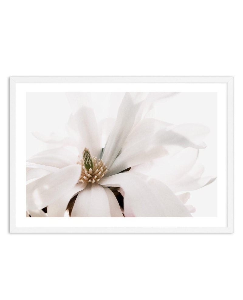 Grace Magnolia Art Print-PRINT-Olive et Oriel-Olive et Oriel-A5 | 5.8" x 8.3" | 14.8 x 21cm-White-With White Border-Buy-Australian-Art-Prints-Online-with-Olive-et-Oriel-Your-Artwork-Specialists-Austrailia-Decorate-With-Coastal-Photo-Wall-Art-Prints-From-Our-Beach-House-Artwork-Collection-Fine-Poster-and-Framed-Artwork