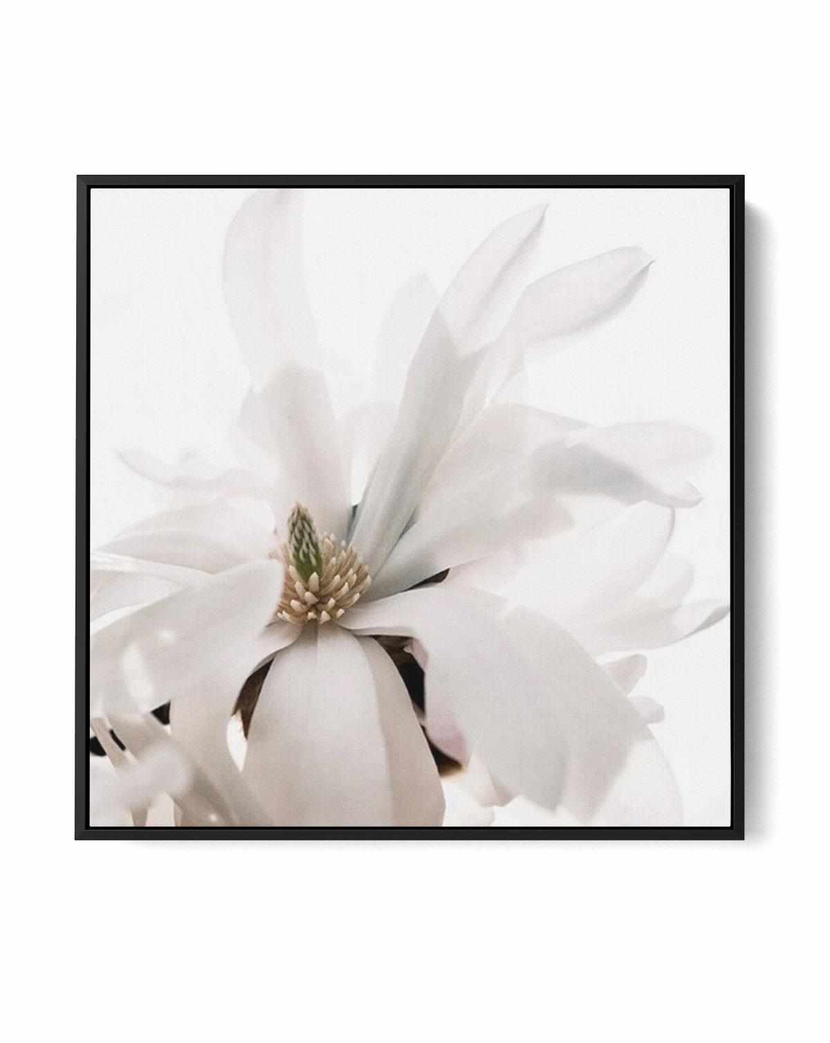 Grace Magnolia SQ | Framed Canvas Art Print