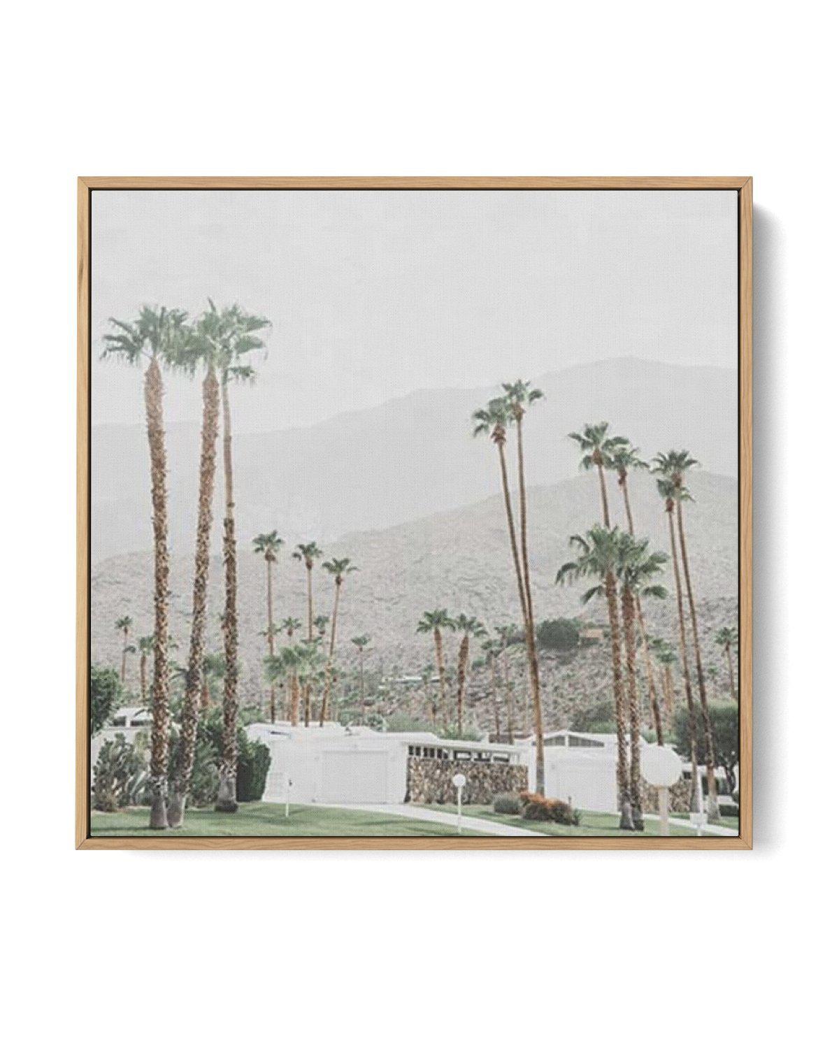 Grass Is Greener | Palm Springs SQ | Framed Canvas-CANVAS-You can shop wall art online with Olive et Oriel for everything from abstract art to fun kids wall art. Our beautiful modern art prints and canvas art are available from large canvas prints to wall art paintings and our proudly Australian artwork collection offers only the highest quality framed large wall art and canvas art Australia - You can buy fashion photography prints or Hampton print posters and paintings on canvas from Olive et O