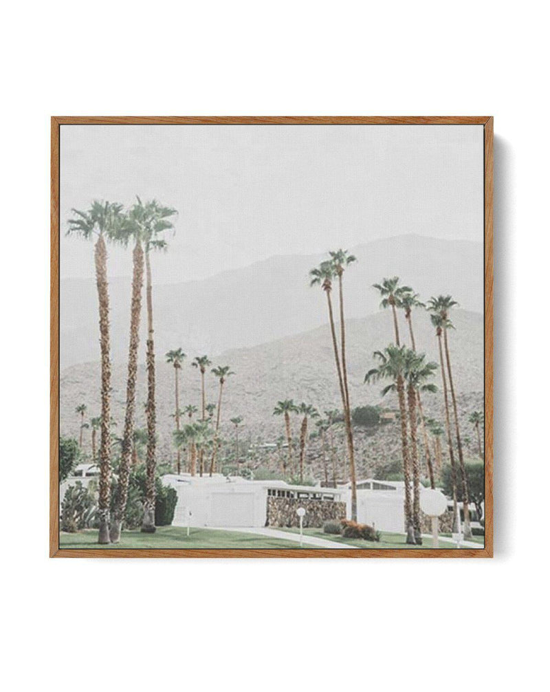 Grass Is Greener | Palm Springs SQ | Framed Canvas-CANVAS-You can shop wall art online with Olive et Oriel for everything from abstract art to fun kids wall art. Our beautiful modern art prints and canvas art are available from large canvas prints to wall art paintings and our proudly Australian artwork collection offers only the highest quality framed large wall art and canvas art Australia - You can buy fashion photography prints or Hampton print posters and paintings on canvas from Olive et O