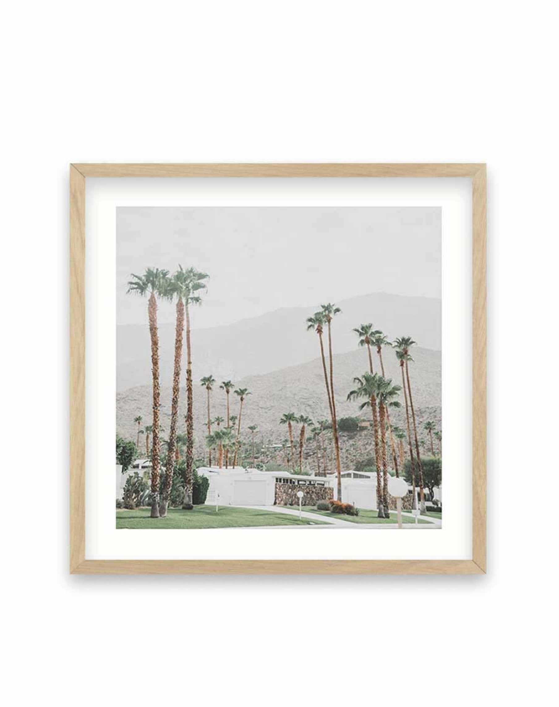 Grass Is Greener | Palm Springs SQ | Framed Canvas-CANVAS-You can shop wall art online with Olive et Oriel for everything from abstract art to fun kids wall art. Our beautiful modern art prints and canvas art are available from large canvas prints to wall art paintings and our proudly Australian artwork collection offers only the highest quality framed large wall art and canvas art Australia - You can buy fashion photography prints or Hampton print posters and paintings on canvas from Olive et O