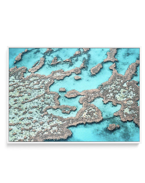 Great Barrier Reef I | Framed Canvas-CANVAS-You can shop wall art online with Olive et Oriel for everything from abstract art to fun kids wall art. Our beautiful modern art prints and canvas art are available from large canvas prints to wall art paintings and our proudly Australian artwork collection offers only the highest quality framed large wall art and canvas art Australia - You can buy fashion photography prints or Hampton print posters and paintings on canvas from Olive et Oriel and have 
