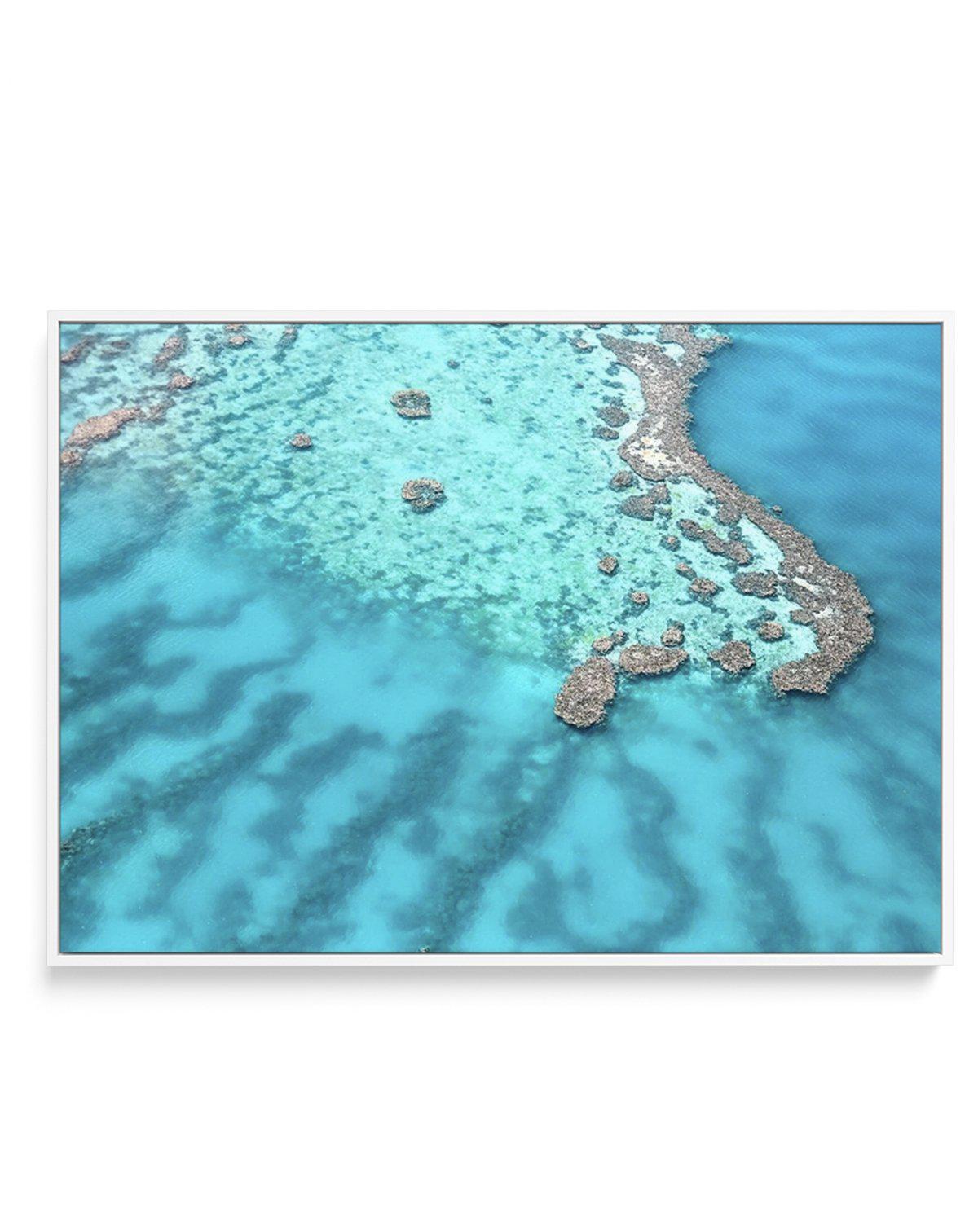 Great Barrier Reef II | Framed Canvas-CANVAS-You can shop wall art online with Olive et Oriel for everything from abstract art to fun kids wall art. Our beautiful modern art prints and canvas art are available from large canvas prints to wall art paintings and our proudly Australian artwork collection offers only the highest quality framed large wall art and canvas art Australia - You can buy fashion photography prints or Hampton print posters and paintings on canvas from Olive et Oriel and have