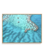 Great Barrier Reef II | Framed Canvas-CANVAS-You can shop wall art online with Olive et Oriel for everything from abstract art to fun kids wall art. Our beautiful modern art prints and canvas art are available from large canvas prints to wall art paintings and our proudly Australian artwork collection offers only the highest quality framed large wall art and canvas art Australia - You can buy fashion photography prints or Hampton print posters and paintings on canvas from Olive et Oriel and have