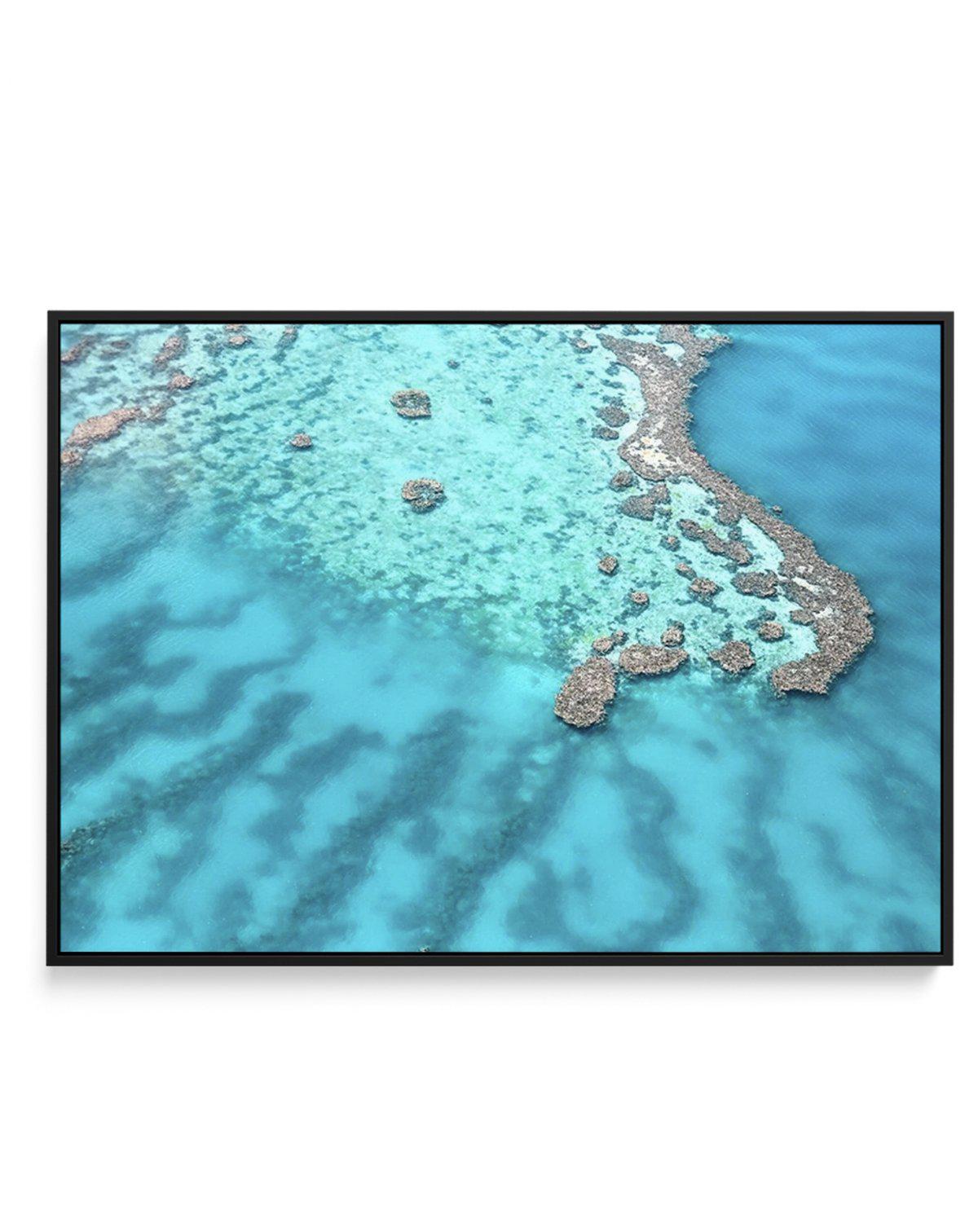 Great Barrier Reef II | Framed Canvas-CANVAS-You can shop wall art online with Olive et Oriel for everything from abstract art to fun kids wall art. Our beautiful modern art prints and canvas art are available from large canvas prints to wall art paintings and our proudly Australian artwork collection offers only the highest quality framed large wall art and canvas art Australia - You can buy fashion photography prints or Hampton print posters and paintings on canvas from Olive et Oriel and have