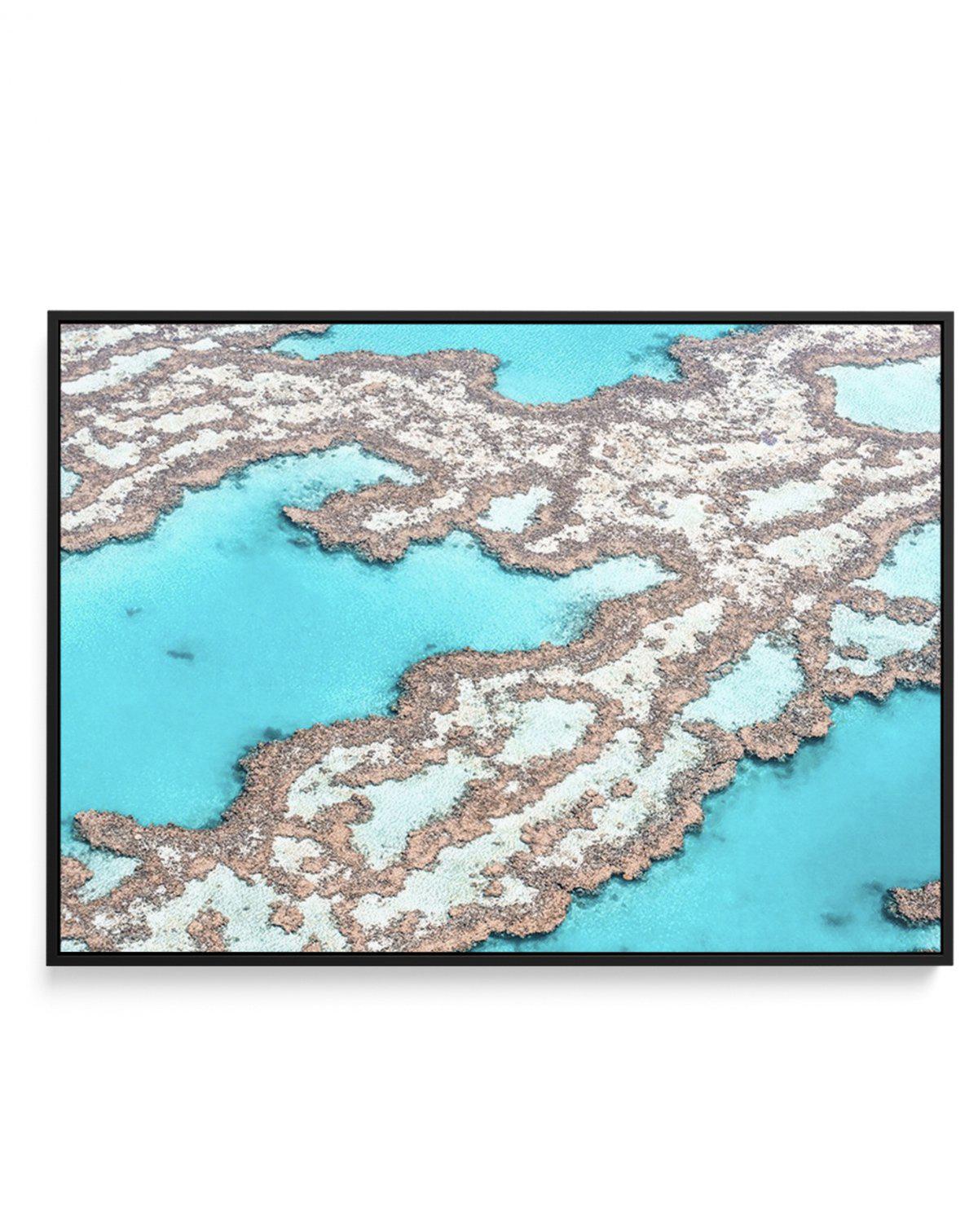 Great Barrier Reef III | Framed Canvas-CANVAS-You can shop wall art online with Olive et Oriel for everything from abstract art to fun kids wall art. Our beautiful modern art prints and canvas art are available from large canvas prints to wall art paintings and our proudly Australian artwork collection offers only the highest quality framed large wall art and canvas art Australia - You can buy fashion photography prints or Hampton print posters and paintings on canvas from Olive et Oriel and hav