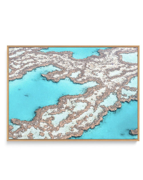 Great Barrier Reef III | Framed Canvas-CANVAS-You can shop wall art online with Olive et Oriel for everything from abstract art to fun kids wall art. Our beautiful modern art prints and canvas art are available from large canvas prints to wall art paintings and our proudly Australian artwork collection offers only the highest quality framed large wall art and canvas art Australia - You can buy fashion photography prints or Hampton print posters and paintings on canvas from Olive et Oriel and hav