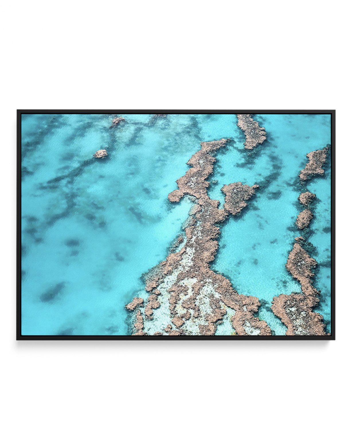 Great Barrier Reef IV | Framed Canvas-CANVAS-You can shop wall art online with Olive et Oriel for everything from abstract art to fun kids wall art. Our beautiful modern art prints and canvas art are available from large canvas prints to wall art paintings and our proudly Australian artwork collection offers only the highest quality framed large wall art and canvas art Australia - You can buy fashion photography prints or Hampton print posters and paintings on canvas from Olive et Oriel and have