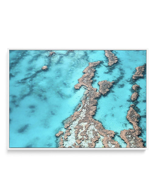 Great Barrier Reef IV | Framed Canvas-CANVAS-You can shop wall art online with Olive et Oriel for everything from abstract art to fun kids wall art. Our beautiful modern art prints and canvas art are available from large canvas prints to wall art paintings and our proudly Australian artwork collection offers only the highest quality framed large wall art and canvas art Australia - You can buy fashion photography prints or Hampton print posters and paintings on canvas from Olive et Oriel and have