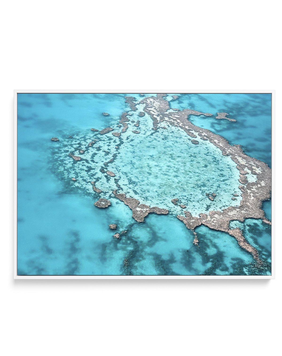 Great Barrier Reef V | Framed Canvas-CANVAS-You can shop wall art online with Olive et Oriel for everything from abstract art to fun kids wall art. Our beautiful modern art prints and canvas art are available from large canvas prints to wall art paintings and our proudly Australian artwork collection offers only the highest quality framed large wall art and canvas art Australia - You can buy fashion photography prints or Hampton print posters and paintings on canvas from Olive et Oriel and have 