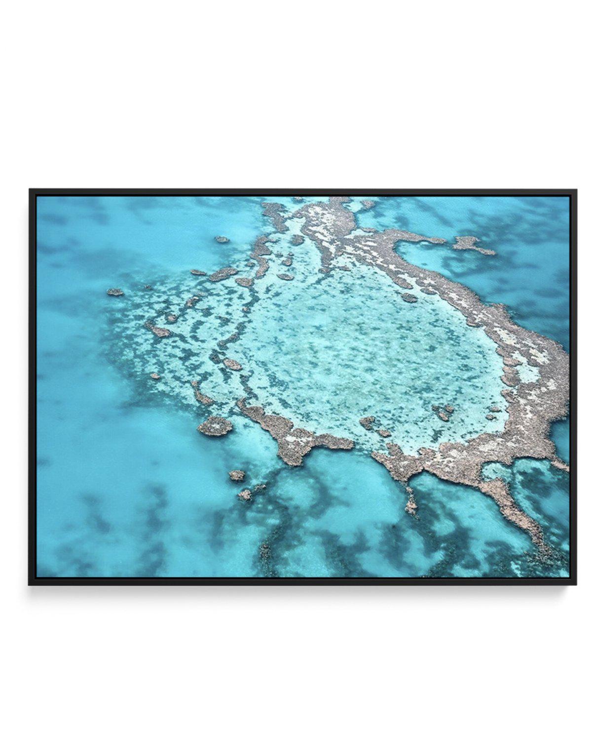 Great Barrier Reef V | Framed Canvas-CANVAS-You can shop wall art online with Olive et Oriel for everything from abstract art to fun kids wall art. Our beautiful modern art prints and canvas art are available from large canvas prints to wall art paintings and our proudly Australian artwork collection offers only the highest quality framed large wall art and canvas art Australia - You can buy fashion photography prints or Hampton print posters and paintings on canvas from Olive et Oriel and have 