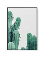 Green Cactus III | Framed Canvas-CANVAS-You can shop wall art online with Olive et Oriel for everything from abstract art to fun kids wall art. Our beautiful modern art prints and canvas art are available from large canvas prints to wall art paintings and our proudly Australian artwork collection offers only the highest quality framed large wall art and canvas art Australia - You can buy fashion photography prints or Hampton print posters and paintings on canvas from Olive et Oriel and have them