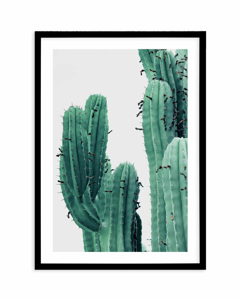 Green Cactus I Art Print-PRINT-Olive et Oriel-Olive et Oriel-A4 | 8.3" x 11.7" | 21 x 29.7cm-Black-With White Border-Buy-Australian-Art-Prints-Online-with-Olive-et-Oriel-Your-Artwork-Specialists-Austrailia-Decorate-With-Coastal-Photo-Wall-Art-Prints-From-Our-Beach-House-Artwork-Collection-Fine-Poster-and-Framed-Artwork