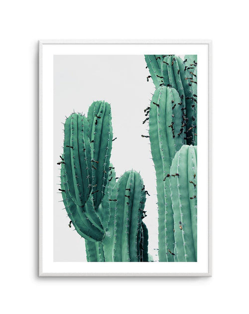 Green Cactus I Art Print-PRINT-Olive et Oriel-Olive et Oriel-A4 | 8.3" x 11.7" | 21 x 29.7cm-Unframed Art Print-With White Border-Buy-Australian-Art-Prints-Online-with-Olive-et-Oriel-Your-Artwork-Specialists-Austrailia-Decorate-With-Coastal-Photo-Wall-Art-Prints-From-Our-Beach-House-Artwork-Collection-Fine-Poster-and-Framed-Artwork
