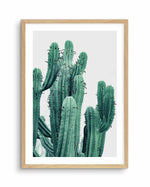 Green Cactus II Art Print-PRINT-Olive et Oriel-Olive et Oriel-A4 | 8.3" x 11.7" | 21 x 29.7cm-Oak-With White Border-Buy-Australian-Art-Prints-Online-with-Olive-et-Oriel-Your-Artwork-Specialists-Austrailia-Decorate-With-Coastal-Photo-Wall-Art-Prints-From-Our-Beach-House-Artwork-Collection-Fine-Poster-and-Framed-Artwork