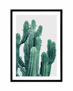 Green Cactus II Art Print-PRINT-Olive et Oriel-Olive et Oriel-A4 | 8.3" x 11.7" | 21 x 29.7cm-Black-With White Border-Buy-Australian-Art-Prints-Online-with-Olive-et-Oriel-Your-Artwork-Specialists-Austrailia-Decorate-With-Coastal-Photo-Wall-Art-Prints-From-Our-Beach-House-Artwork-Collection-Fine-Poster-and-Framed-Artwork