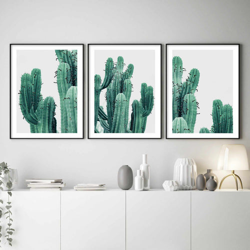 Green Cactus II Art Print-PRINT-Olive et Oriel-Olive et Oriel-Buy-Australian-Art-Prints-Online-with-Olive-et-Oriel-Your-Artwork-Specialists-Austrailia-Decorate-With-Coastal-Photo-Wall-Art-Prints-From-Our-Beach-House-Artwork-Collection-Fine-Poster-and-Framed-Artwork