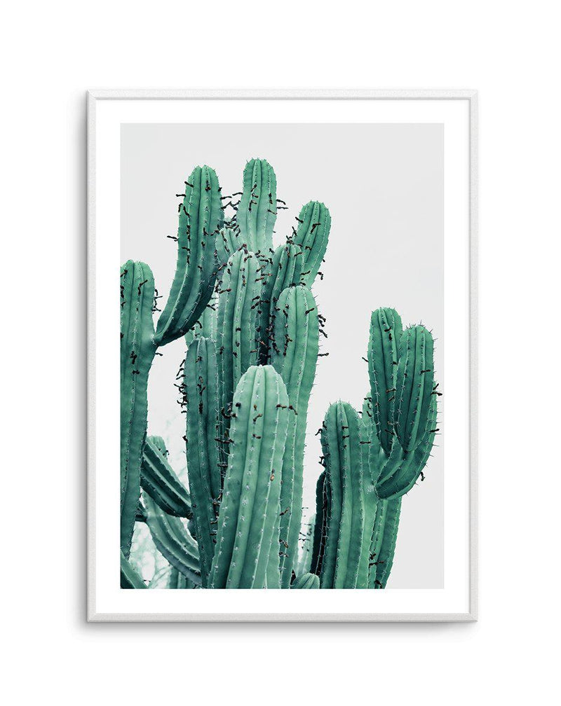 Green Cactus II Art Print-PRINT-Olive et Oriel-Olive et Oriel-A4 | 8.3" x 11.7" | 21 x 29.7cm-Unframed Art Print-With White Border-Buy-Australian-Art-Prints-Online-with-Olive-et-Oriel-Your-Artwork-Specialists-Austrailia-Decorate-With-Coastal-Photo-Wall-Art-Prints-From-Our-Beach-House-Artwork-Collection-Fine-Poster-and-Framed-Artwork