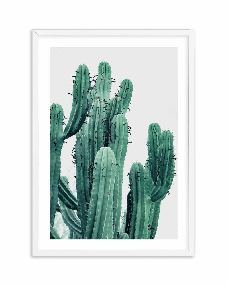 Green Cactus II Art Print-PRINT-Olive et Oriel-Olive et Oriel-A4 | 8.3" x 11.7" | 21 x 29.7cm-White-With White Border-Buy-Australian-Art-Prints-Online-with-Olive-et-Oriel-Your-Artwork-Specialists-Austrailia-Decorate-With-Coastal-Photo-Wall-Art-Prints-From-Our-Beach-House-Artwork-Collection-Fine-Poster-and-Framed-Artwork