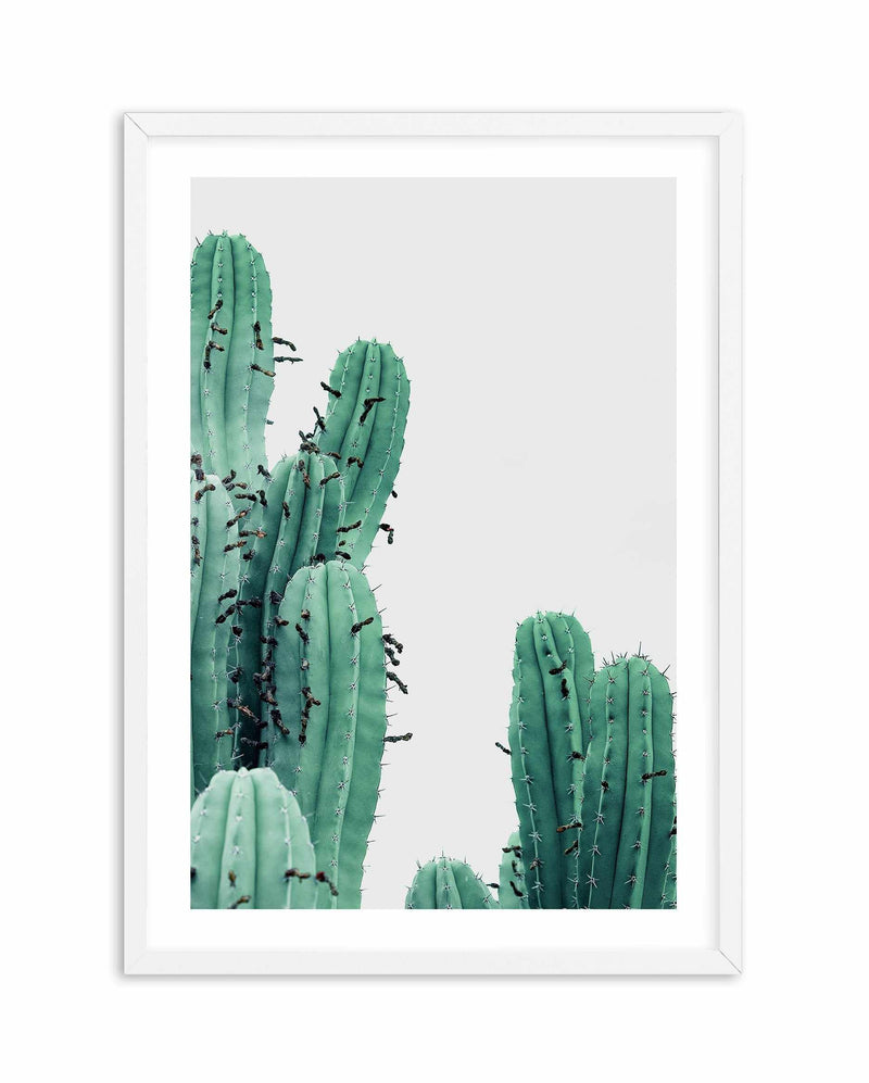 Green Cactus III Art Print-PRINT-Olive et Oriel-Olive et Oriel-A4 | 8.3" x 11.7" | 21 x 29.7cm-White-With White Border-Buy-Australian-Art-Prints-Online-with-Olive-et-Oriel-Your-Artwork-Specialists-Austrailia-Decorate-With-Coastal-Photo-Wall-Art-Prints-From-Our-Beach-House-Artwork-Collection-Fine-Poster-and-Framed-Artwork
