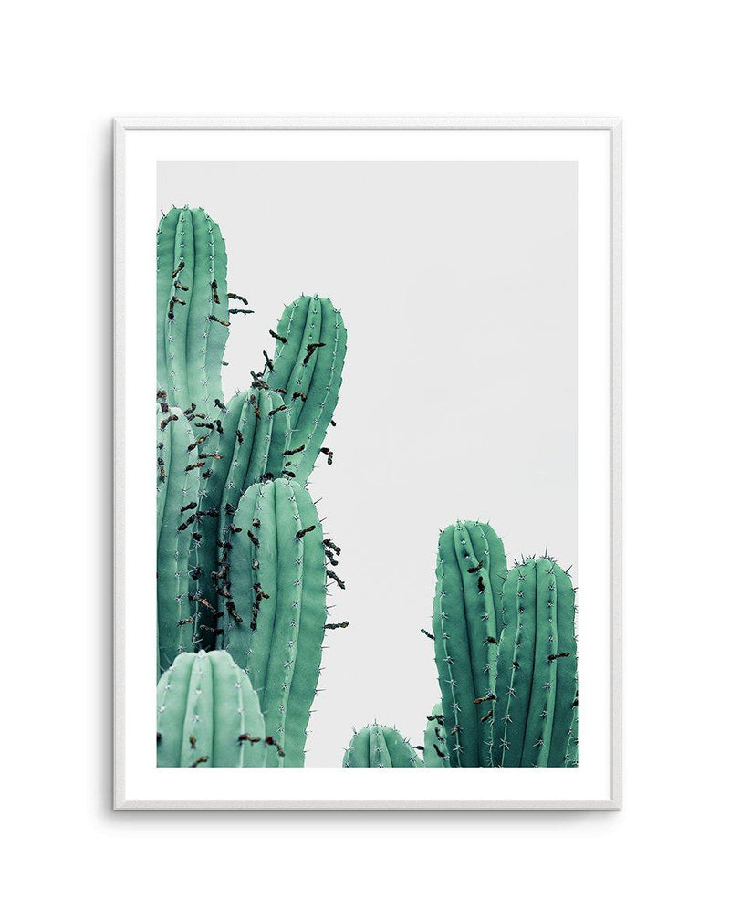 Green Cactus III Art Print-PRINT-Olive et Oriel-Olive et Oriel-A4 | 8.3" x 11.7" | 21 x 29.7cm-Unframed Art Print-With White Border-Buy-Australian-Art-Prints-Online-with-Olive-et-Oriel-Your-Artwork-Specialists-Austrailia-Decorate-With-Coastal-Photo-Wall-Art-Prints-From-Our-Beach-House-Artwork-Collection-Fine-Poster-and-Framed-Artwork