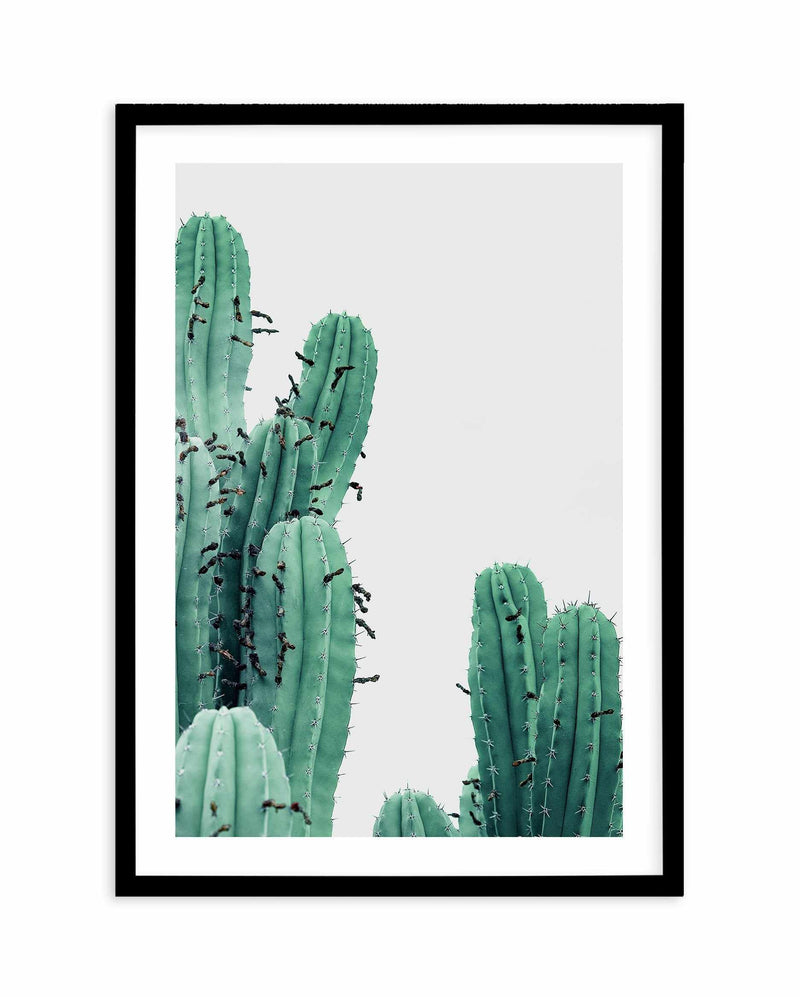 Green Cactus III Art Print-PRINT-Olive et Oriel-Olive et Oriel-A4 | 8.3" x 11.7" | 21 x 29.7cm-Black-With White Border-Buy-Australian-Art-Prints-Online-with-Olive-et-Oriel-Your-Artwork-Specialists-Austrailia-Decorate-With-Coastal-Photo-Wall-Art-Prints-From-Our-Beach-House-Artwork-Collection-Fine-Poster-and-Framed-Artwork