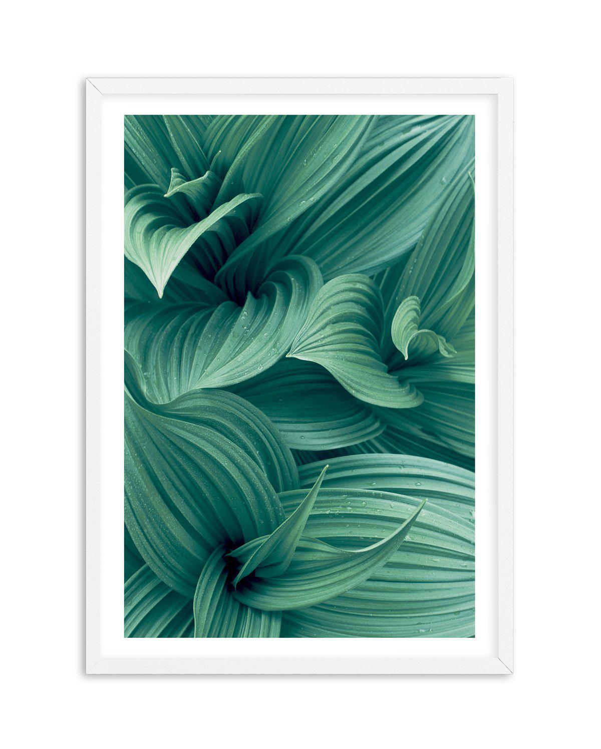 Green Leaves I Art Print-PRINT-Olive et Oriel-Olive et Oriel-A5 | 5.8" x 8.3" | 14.8 x 21cm-White-With White Border-Buy-Australian-Art-Prints-Online-with-Olive-et-Oriel-Your-Artwork-Specialists-Austrailia-Decorate-With-Coastal-Photo-Wall-Art-Prints-From-Our-Beach-House-Artwork-Collection-Fine-Poster-and-Framed-Artwork