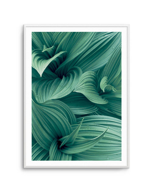 Green Leaves I Art Print-PRINT-Olive et Oriel-Olive et Oriel-A5 | 5.8" x 8.3" | 14.8 x 21cm-Unframed Art Print-With White Border-Buy-Australian-Art-Prints-Online-with-Olive-et-Oriel-Your-Artwork-Specialists-Austrailia-Decorate-With-Coastal-Photo-Wall-Art-Prints-From-Our-Beach-House-Artwork-Collection-Fine-Poster-and-Framed-Artwork