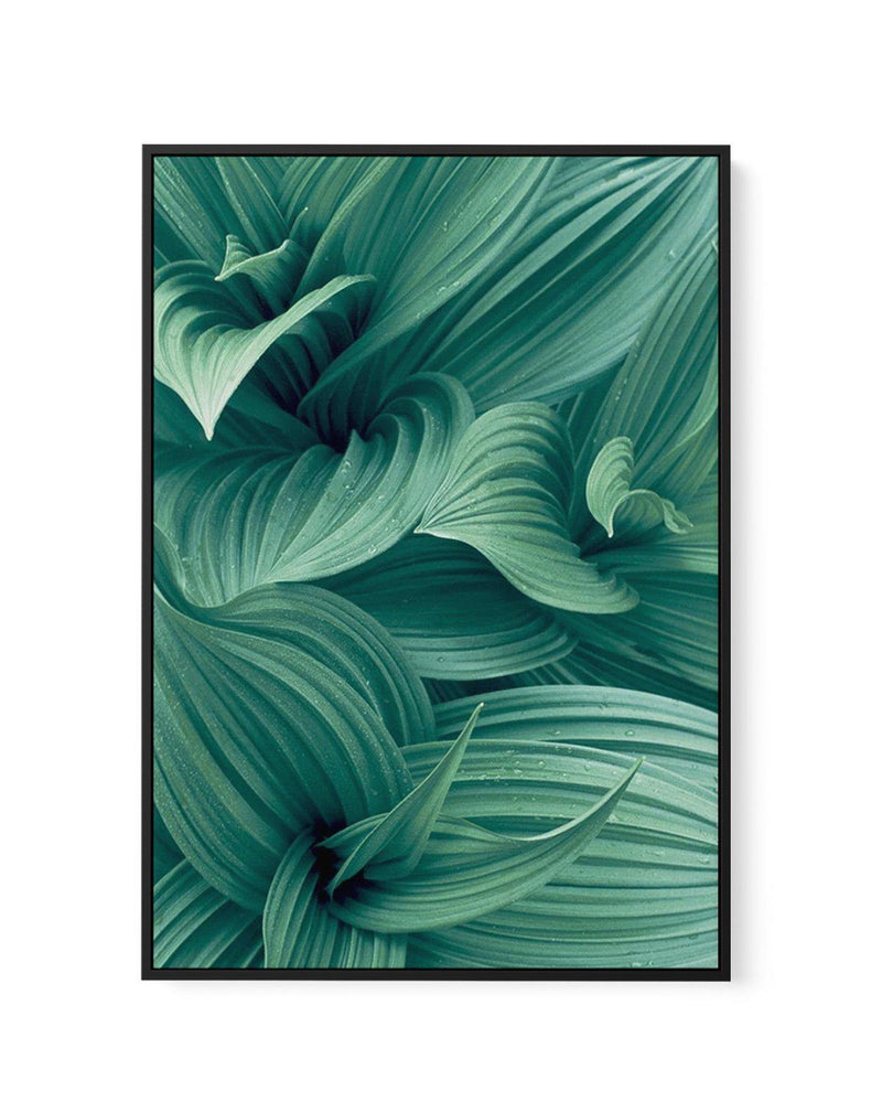 Green Leaves I | Framed Canvas-CANVAS-You can shop wall art online with Olive et Oriel for everything from abstract art to fun kids wall art. Our beautiful modern art prints and canvas art are available from large canvas prints to wall art paintings and our proudly Australian artwork collection offers only the highest quality framed large wall art and canvas art Australia - You can buy fashion photography prints or Hampton print posters and paintings on canvas from Olive et Oriel and have them d