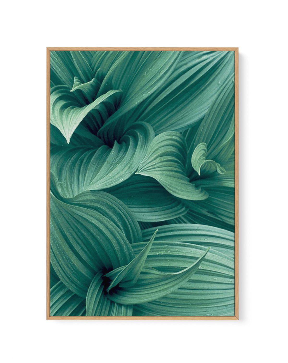 Green Leaves I | Framed Canvas-CANVAS-You can shop wall art online with Olive et Oriel for everything from abstract art to fun kids wall art. Our beautiful modern art prints and canvas art are available from large canvas prints to wall art paintings and our proudly Australian artwork collection offers only the highest quality framed large wall art and canvas art Australia - You can buy fashion photography prints or Hampton print posters and paintings on canvas from Olive et Oriel and have them d