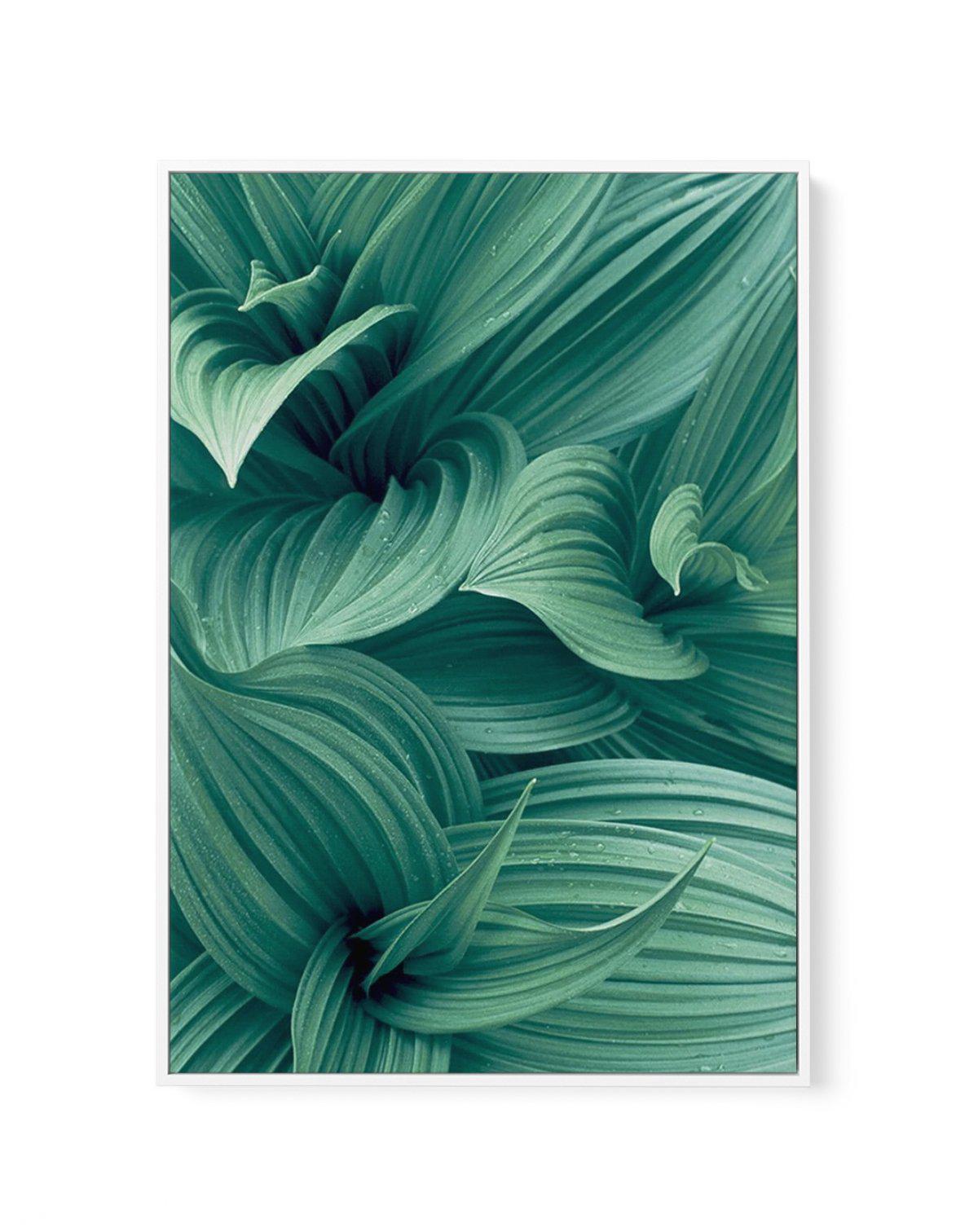 Green Leaves I | Framed Canvas-CANVAS-You can shop wall art online with Olive et Oriel for everything from abstract art to fun kids wall art. Our beautiful modern art prints and canvas art are available from large canvas prints to wall art paintings and our proudly Australian artwork collection offers only the highest quality framed large wall art and canvas art Australia - You can buy fashion photography prints or Hampton print posters and paintings on canvas from Olive et Oriel and have them d