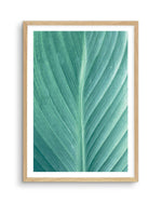 Green Leaves II Art Print-PRINT-Olive et Oriel-Olive et Oriel-A5 | 5.8" x 8.3" | 14.8 x 21cm-Oak-With White Border-Buy-Australian-Art-Prints-Online-with-Olive-et-Oriel-Your-Artwork-Specialists-Austrailia-Decorate-With-Coastal-Photo-Wall-Art-Prints-From-Our-Beach-House-Artwork-Collection-Fine-Poster-and-Framed-Artwork