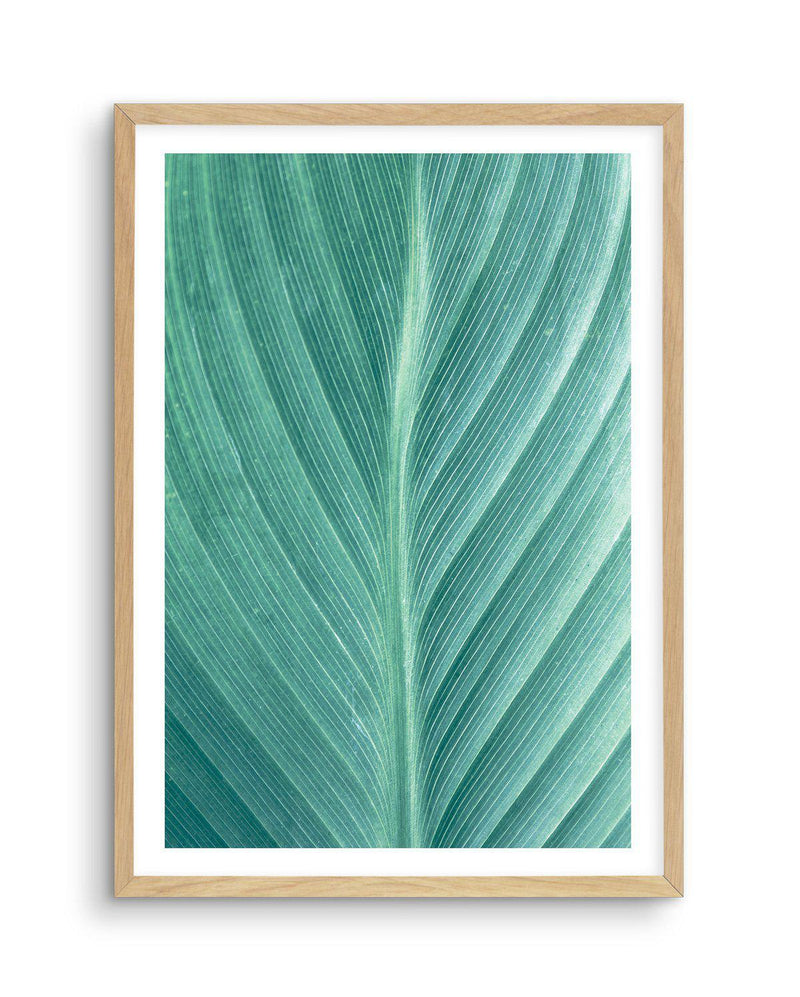 Green Leaves II Art Print-PRINT-Olive et Oriel-Olive et Oriel-A5 | 5.8" x 8.3" | 14.8 x 21cm-Oak-With White Border-Buy-Australian-Art-Prints-Online-with-Olive-et-Oriel-Your-Artwork-Specialists-Austrailia-Decorate-With-Coastal-Photo-Wall-Art-Prints-From-Our-Beach-House-Artwork-Collection-Fine-Poster-and-Framed-Artwork