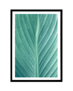 Green Leaves II Art Print-PRINT-Olive et Oriel-Olive et Oriel-A5 | 5.8" x 8.3" | 14.8 x 21cm-Black-With White Border-Buy-Australian-Art-Prints-Online-with-Olive-et-Oriel-Your-Artwork-Specialists-Austrailia-Decorate-With-Coastal-Photo-Wall-Art-Prints-From-Our-Beach-House-Artwork-Collection-Fine-Poster-and-Framed-Artwork