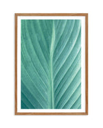 Green Leaves II Art Print-PRINT-Olive et Oriel-Olive et Oriel-50x70 cm | 19.6" x 27.5"-Walnut-With White Border-Buy-Australian-Art-Prints-Online-with-Olive-et-Oriel-Your-Artwork-Specialists-Austrailia-Decorate-With-Coastal-Photo-Wall-Art-Prints-From-Our-Beach-House-Artwork-Collection-Fine-Poster-and-Framed-Artwork