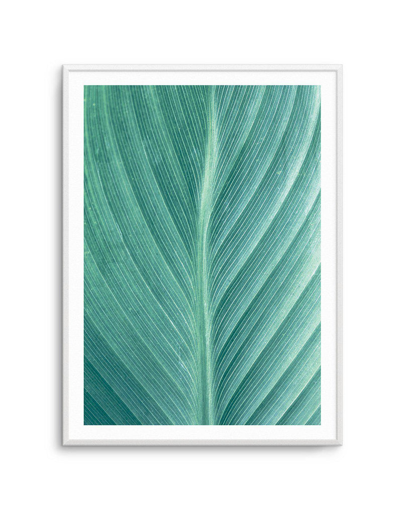 Green Leaves II Art Print-PRINT-Olive et Oriel-Olive et Oriel-A5 | 5.8" x 8.3" | 14.8 x 21cm-Unframed Art Print-With White Border-Buy-Australian-Art-Prints-Online-with-Olive-et-Oriel-Your-Artwork-Specialists-Austrailia-Decorate-With-Coastal-Photo-Wall-Art-Prints-From-Our-Beach-House-Artwork-Collection-Fine-Poster-and-Framed-Artwork