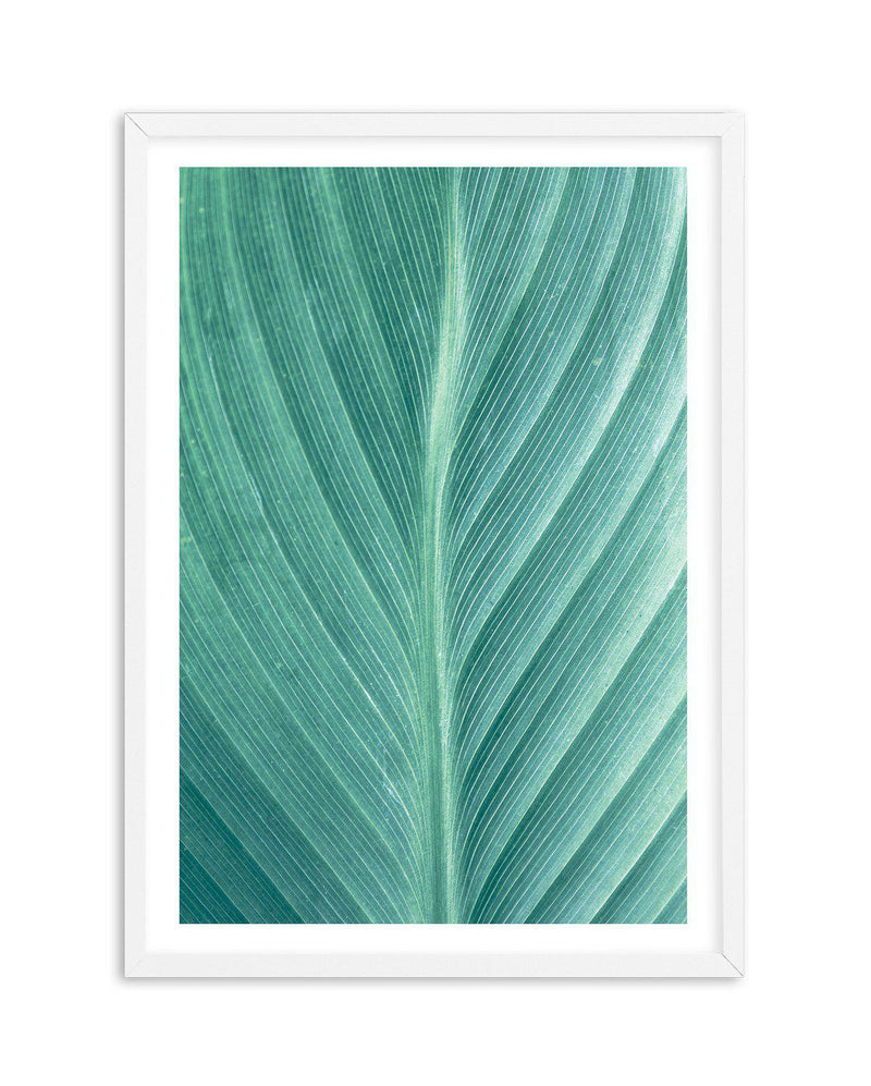Green Leaves II Art Print-PRINT-Olive et Oriel-Olive et Oriel-A5 | 5.8" x 8.3" | 14.8 x 21cm-White-With White Border-Buy-Australian-Art-Prints-Online-with-Olive-et-Oriel-Your-Artwork-Specialists-Austrailia-Decorate-With-Coastal-Photo-Wall-Art-Prints-From-Our-Beach-House-Artwork-Collection-Fine-Poster-and-Framed-Artwork
