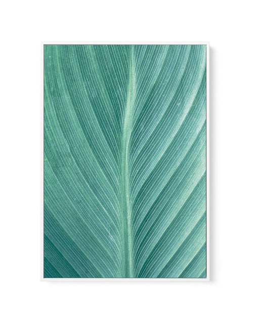Green Leaves II | Framed Canvas-CANVAS-You can shop wall art online with Olive et Oriel for everything from abstract art to fun kids wall art. Our beautiful modern art prints and canvas art are available from large canvas prints to wall art paintings and our proudly Australian artwork collection offers only the highest quality framed large wall art and canvas art Australia - You can buy fashion photography prints or Hampton print posters and paintings on canvas from Olive et Oriel and have them 